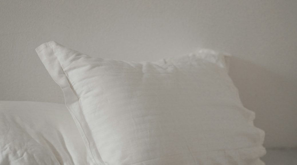 Comment se débarrasser des punaises de lit à Évry : solutions efficaces